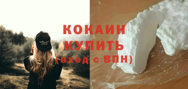 прущие грибы Сафоново