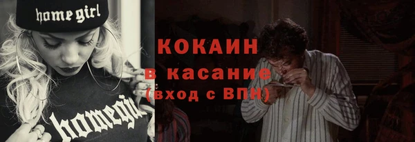 прущие грибы Сафоново