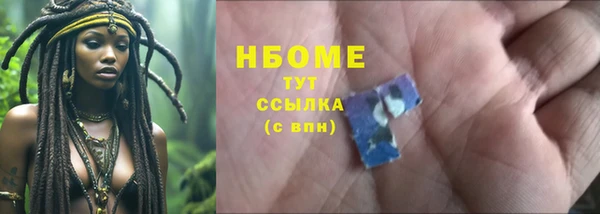 прущие грибы Сафоново