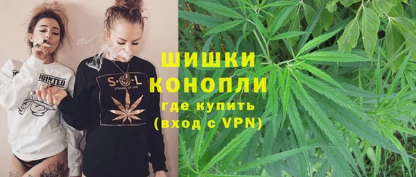 прущие грибы Сафоново