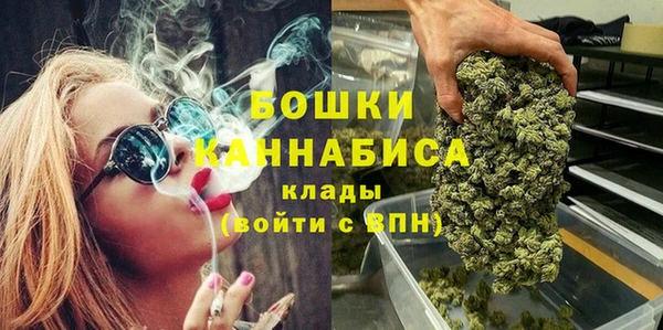 прущие грибы Сафоново