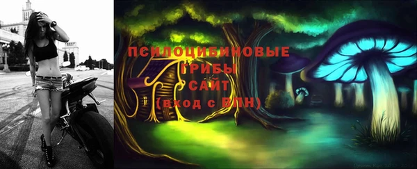 прущие грибы Сафоново